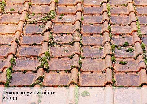 Demoussage de toiture  chemault-45340 Les compagnons Michelet