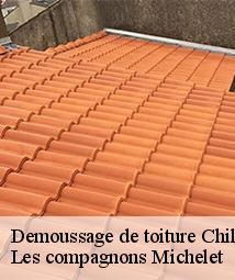 Demoussage de toiture  chilleurs-aux-bois-45170 Les compagnons Michelet
