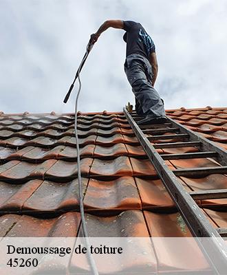 Demoussage de toiture  coudroy-45260 Les compagnons Michelet
