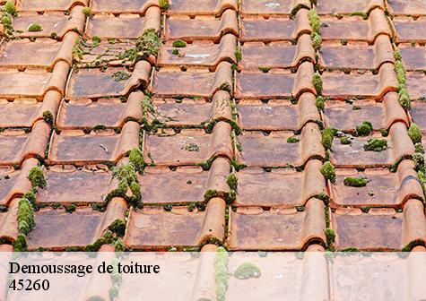 Demoussage de toiture  coudroy-45260 Les compagnons Michelet