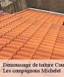 Demoussage de toiture  coudroy-45260 Les compagnons Michelet