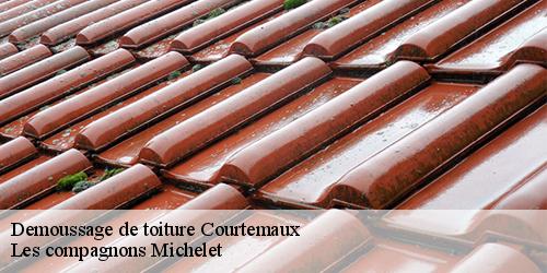 Demoussage de toiture  courtemaux-45320 Les compagnons Michelet