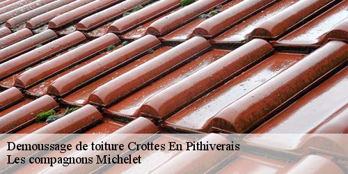 Demoussage de toiture  crottes-en-pithiverais-45170 Les compagnons Michelet