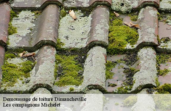 Demoussage de toiture  45390