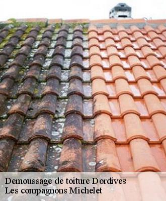 Demoussage de toiture  dordives-45680 Les compagnons Michelet