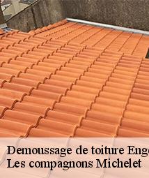 Demoussage de toiture  engenville-45300 Les compagnons Michelet