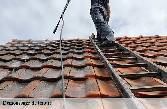 Demoussage de toiture  45130