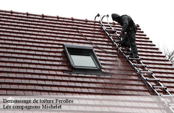 Demoussage de toiture  45150