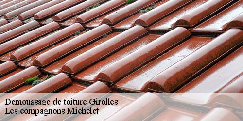 Demoussage de toiture  girolles-45120 Les compagnons Michelet
