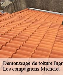 Demoussage de toiture  ingre-45140 Les compagnons Michelet