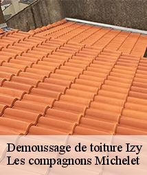 Demoussage de toiture  izy-45480 Les compagnons Michelet