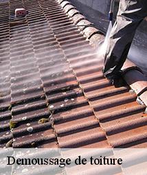 Demoussage de toiture  lombreuil-45700 Les compagnons Michelet