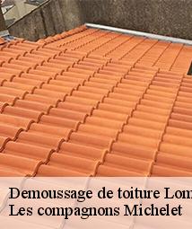Demoussage de toiture  lombreuil-45700 Les compagnons Michelet