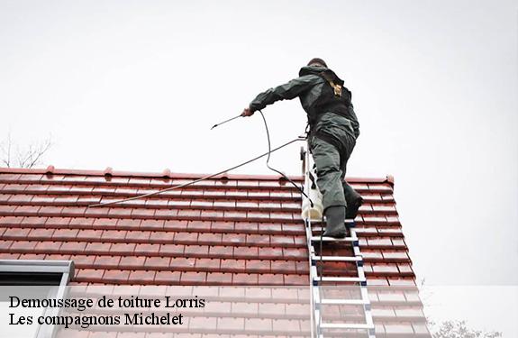 Demoussage de toiture  45260