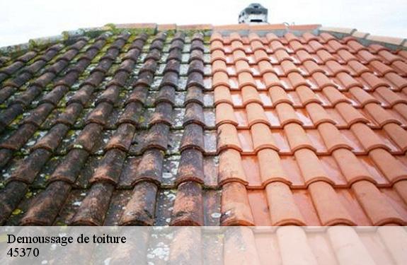 Demoussage de toiture  45370