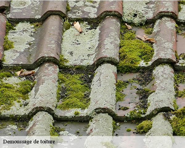 Demoussage de toiture  marigny-les-usages-45760 Les compagnons Michelet