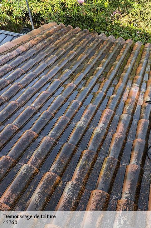 Demoussage de toiture  marigny-les-usages-45760 Les compagnons Michelet