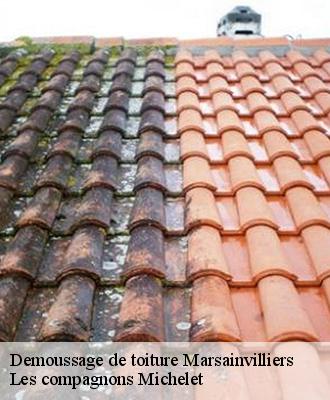Demoussage de toiture  marsainvilliers-45300 Les compagnons Michelet