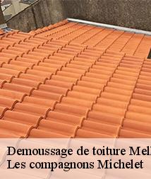 Demoussage de toiture  melleroy-45220 Les compagnons Michelet