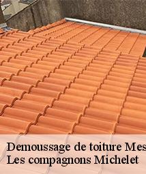 Demoussage de toiture  messas-45190 Les compagnons Michelet