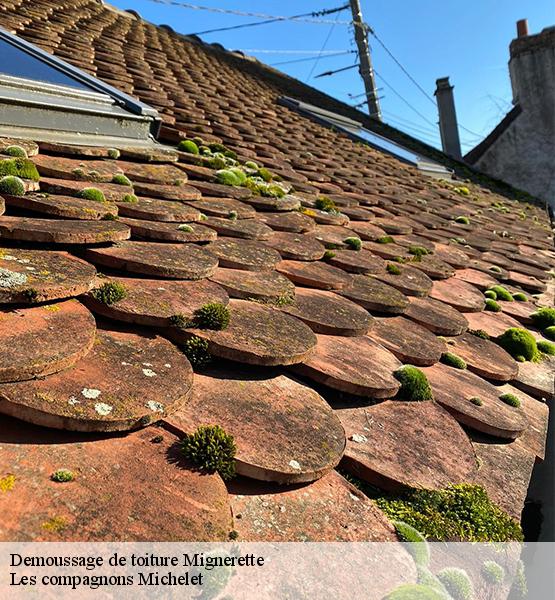 Demoussage de toiture  mignerette-45490 Les compagnons Michelet