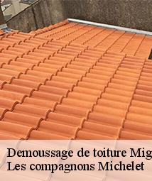 Demoussage de toiture  mignerette-45490 Les compagnons Michelet