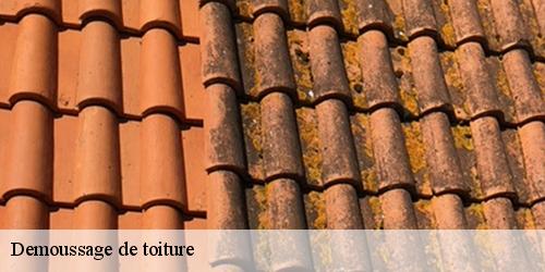 Demoussage de toiture  neuvy-en-sullias-45510 Les compagnons Michelet