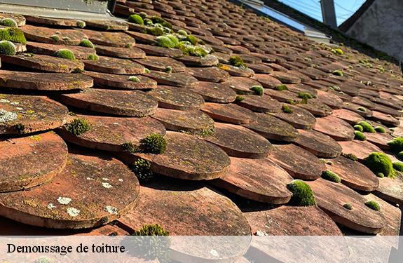 Demoussage de toiture  45160
