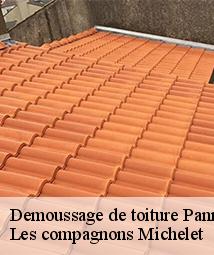 Demoussage de toiture  pannecieres-45300 Les compagnons Michelet
