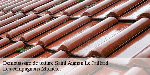 Demoussage de toiture  saint-aignan-le-jaillard-45600 Les compagnons Michelet