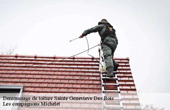 Demoussage de toiture 45230