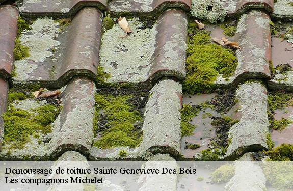 Demoussage de toiture 45230