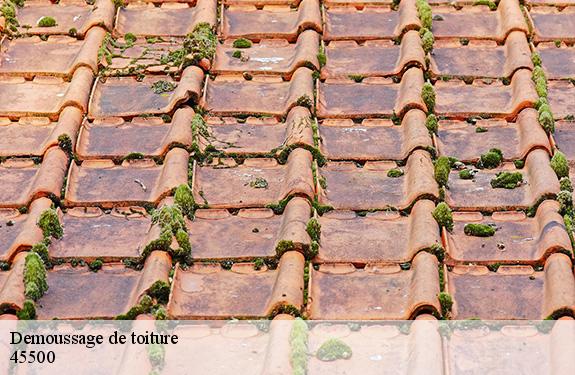 Demoussage de toiture 45500