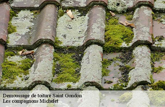 Demoussage de toiture 45500