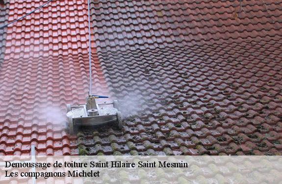 Demoussage de toiture  saint-hilaire-saint-mesmin-45160 Les compagnons Michelet