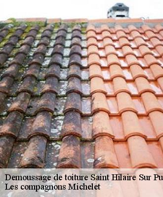 Demoussage de toiture  saint-hilaire-sur-puiseaux-45700 Les compagnons Michelet