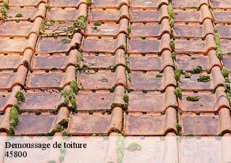 Demoussage de toiture  saint-jean-de-braye-45800 Les compagnons Michelet