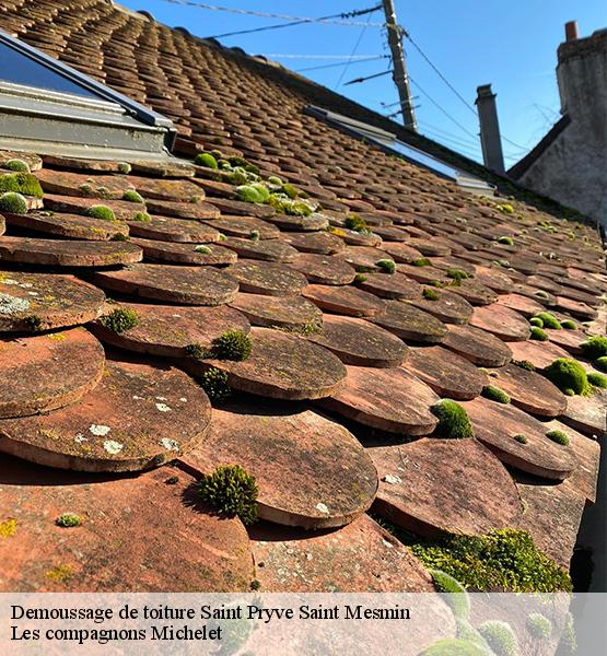 Demoussage de toiture  saint-pryve-saint-mesmin-45750 Les compagnons Michelet