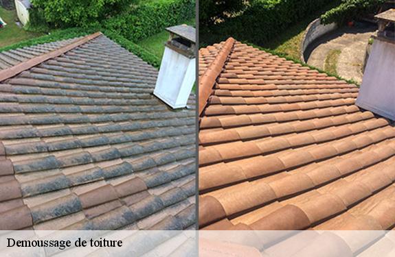 Demoussage de toiture  45210