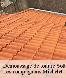 Demoussage de toiture  solterre-45700 Les compagnons Michelet