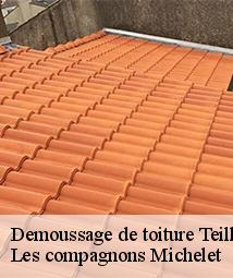 Demoussage de toiture  teillay-le-gaudin-45480 Les compagnons Michelet