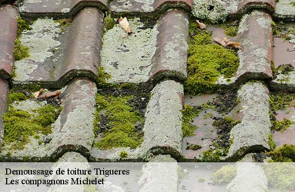 Demoussage de toiture 45220