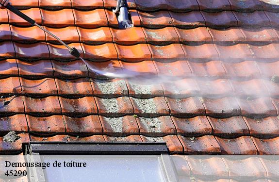 Demoussage de toiture  45290