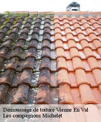 Demoussage de toiture  vienne-en-val-45510 Les compagnons Michelet
