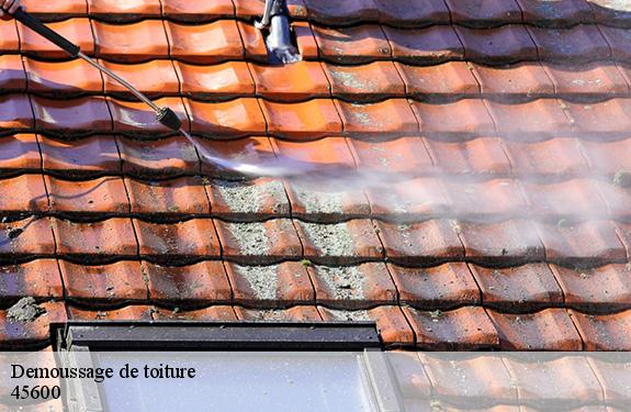 Demoussage de toiture  45600