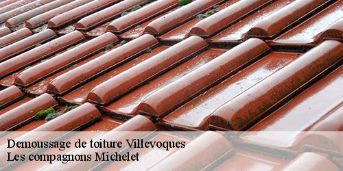 Demoussage de toiture  villevoques-45700 Les compagnons Michelet