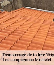 Demoussage de toiture  vrigny-45300 Les compagnons Michelet