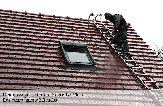 Demoussage de toiture  45300