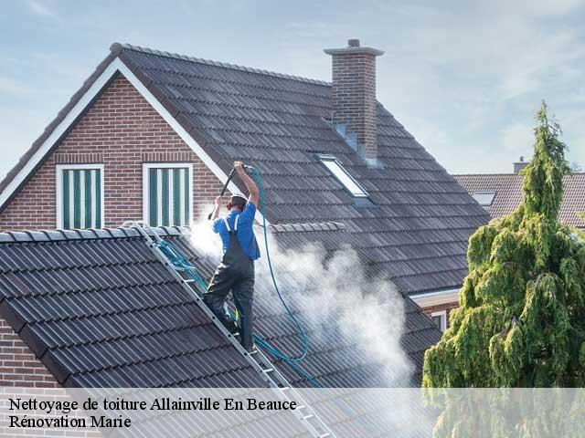 Nettoyage de toiture  allainville-en-beauce-45480 Rénovation Marie
