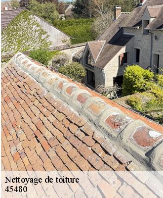 Nettoyage de toiture  andonville-45480 Les compagnons Michelet